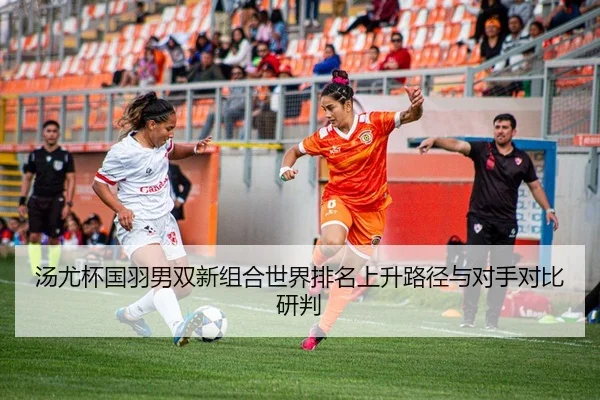 tang-you-bei-guo-yu-nan-shuang-xin-zu-he-shi-jie-pai-ming-shang-sheng-lu-jing-yu-dui-shou-dui-bi-yan-pan-2-819.jpg